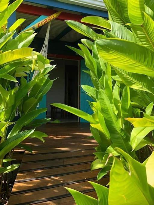 Secteur Prise, Bungalow Corail, Residence Casa Boubou Sainte-Anne  Exterior photo